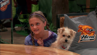 Nicky, Ricky, Dicky & Dawn: Season 1: The Sad Tail of Gary-Chip-Tiny Elvis-Squishy Paws